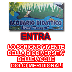 ACQUARIO DIDATTICO Fiume "Tanagro" - E N T R A